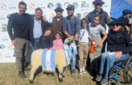 Una cabaña de La Playosa se consagró campèón con una hembra Hampshire Down hija del campeón de Palermo