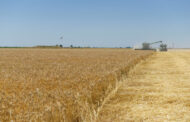 El Gobierno Nacional extendió la rebaja de retenciones para la cosecha fina