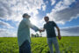 MAÍZ ARGENTINO: UNA OPORTUNIDAD ÚNICA PARA CRECER CON EFICIENCIA Y MENOR HUELLA DE CARBONO