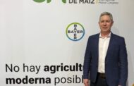 El maíz rompió los límites de lo agronómico en la Pampa semiárida.