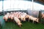 Nutrición, malezas y enfermedades: el futuro del agro se “crea” con soluciones digitales