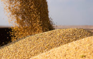 Seminario ACSOJA 2025: La soja como clave en la alimentación animal y el valor agregado en la agroindustria