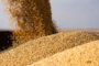 En Tandil, fue lanzada una innovación sustentable para la producción de cereales de invierno