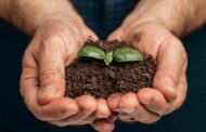 Día Mundial de los Fertilizantes: ¿qué son y por qué se conmemora esta fecha?