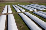 Más del 40 % de la producción nacional se conserva en silobolsas