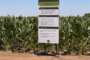 Banco Provincia impulsa al agro en los 20 años de Expoagro con financiamiento y actividades para la familia