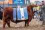 Acuerdo Unión Europea–Mercosur: oportunidades concretas para el agro argentino, pero con desafíos inmediatos
