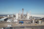 BASF Soluciones para la Agricultura adquiere la empresa AgBiTech de control biológico de plagas