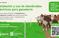 El RENATRE inició la segunda edición de la capacitación virtual sobre alambrado eléctrico para ganadería con más de 800 inscriptos