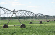 El Gobierno Nacional promueve el riego agropecuario con reducción del IVA y estímulos de inversión