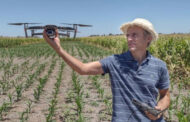 ¨Vistaguay suma servicios de aplicación con drones y avanza del diagnóstico a la acción en el lote¨