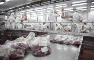La exportación de carne bovina creció 53,95% en valor en el primer trimestre del 2026
