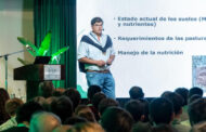 Nutrición efectiva y responsable de pasturas