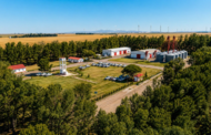 Un orgullo que nació del campo: 50 años del Criadero ACA Cabildo, la fuerza comercial de los Trigos Cooperativos