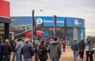 Créditos Millonarios, Tasas desde el 8% y Financiación en Dólares para el Campo