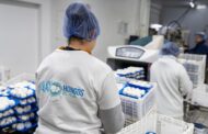 El cultivo que no descansa: 38.000 kilos de hongos por semana, todo el año