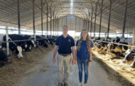 Cuando las vacas se ordeñan solas: el avance de los tambos robotizados y los nuevos desafíos de manejo