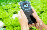 Inteligencia Artificial, Computación Cuántica y Agro: el próximo salto que no podemos ignorar