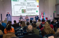 Nutrición balanceada y manejo integrado de plagas: dos pilares para cerrar brechas de rendimiento en soja