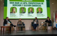 El mercado mundial de la soja cambió y Argentina puede aprovechar su ventaja industrial