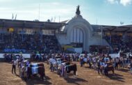 NÚMEROS FINALES DE LA EXPO RURAL EDICIÓN YPF