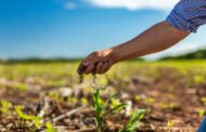 Syngenta en Aapresid pone el foco en la salud del suelo