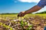 Adamant Group lanza Adamant Agro, una plataforma global que conecta la agricultura de bajo carbono con la energía