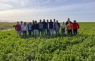 Patagonia en el Congreso Aapresid: ¿el “corn belt” argentino?