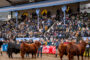 Patagonia en el Congreso Aapresid: ¿el “corn belt” argentino?