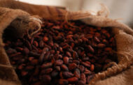 La crisis del Cacao golpea al Mayor Fabricante