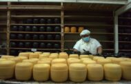 Caminos del Queso como Producto Turístico Provincial