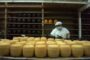 La crisis del Cacao golpea al Mayor Fabricante