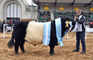 Raza Galloway