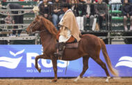 Raza Peruano de Paso
