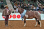 Raza Appaloosa