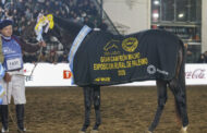 Raza Polo