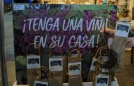 Hacer vino en casa y tener vides en el Balcón