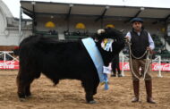 Raza West Highland