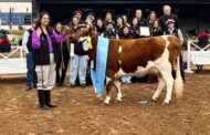 La Yoli volvió a consagrarse Campeona de la Raza
