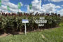 Agritec Global consolidó su presencia en uno de los principales espacios de intercambio del agro