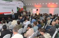 La Genética y el manejo de precisión en Soja