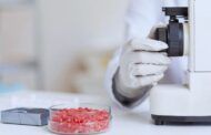 Con irradiación gamma, reducen la presencia de Escherichia coli