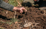 Aapresid y PepsiCo, una alianza con futuro para escalar la agricultura regenerativa en Argentina