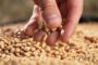 La Facultad de Agronomía de la UBA dictará un curso gratuito sobre el uso seguro de fitosanitarios