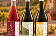 Histórico en Jujuy, lanzan los primeros Vinos Espumantes