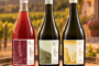 El futuro del Vino Argentino, las lecciones de Chile y Australia