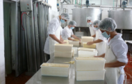 Industria Láctea, la encrucijada entre el Volumen y el Rendimiento