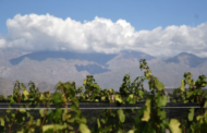 Minería y Vitivinicultura, la dicotomía en Argentina