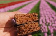 Sabores en Tulipanes Patagonia, la propuesta de los puestos dulces.